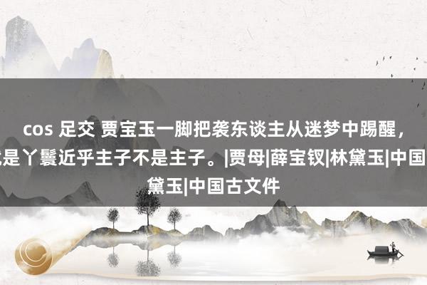 cos 足交 贾宝玉一脚把袭东谈主从迷梦中踢醒，丫鬟就是丫鬟近乎主子不是主子。|贾母|薛宝钗|林黛玉|中国古文件