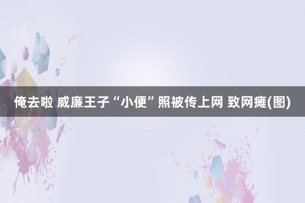 俺去啦 威廉王子“小便”照被传上网 致网瘫(图)