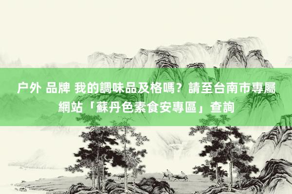 户外 品牌 我的調味品及格嗎？　請至台南市專屬網站「蘇丹色素食安專區」查詢