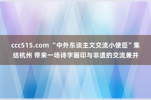 ccc515.com “中外东谈主文交流小使臣”集结杭州 带来一场诗字画印与非遗的交流兼并