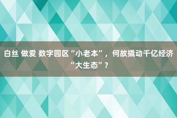 白丝 做爱 数字园区“小老本”，何故撬动千亿经济“大生态”？