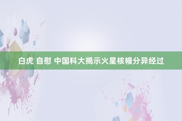 白虎 自慰 中国科大揭示火星核幔分异经过