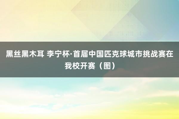 黑丝黑木耳 李宁杯·首届中国匹克球城市挑战赛在我校开赛（图）