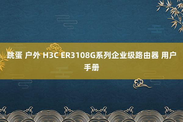 跳蛋 户外 H3C ER3108G系列企业级路由器 用户手册